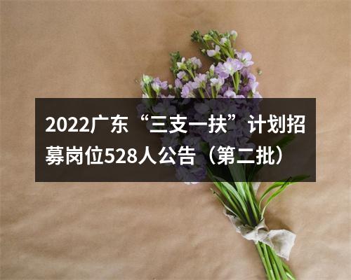 2022广东“三支一扶”计划招募岗位528人公告（第二批） 图片