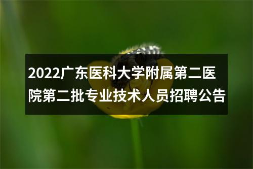 2022广东医科大学附属第二医院第二批专业技术人员招聘公告 图片