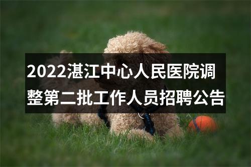 2022湛江中心人民医院调整第二批工作人员招聘公告 图片