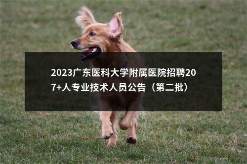 2023广东医科大学附属医院招聘207+人专业技术人员公告（第二批） 图片