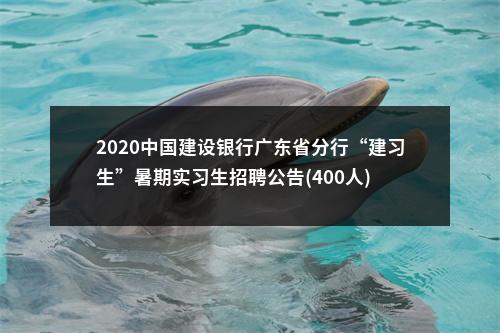 2020中国建设银行广东省分行“建习生”暑期实习生招聘公告(400人) 图片