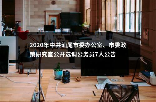2020年中共汕尾市委办公室、市委政策研究室公开选调公务员7人公告 图片