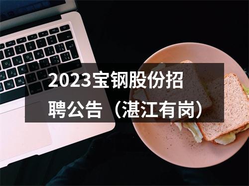 2023宝钢股份招聘公告（湛江有岗） 图片