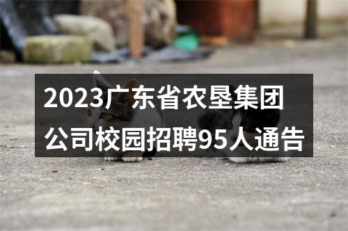 2023广东省农垦集团公司校园招聘95人通告 图片